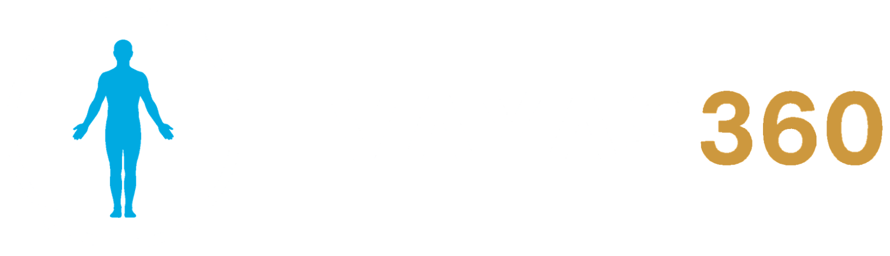 VAYAS360